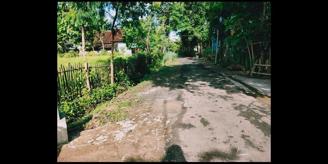 Tanah Sawah Subur Mojogedang Karanganyar Tanah Sawah Subur Mojogedang Karanganyar