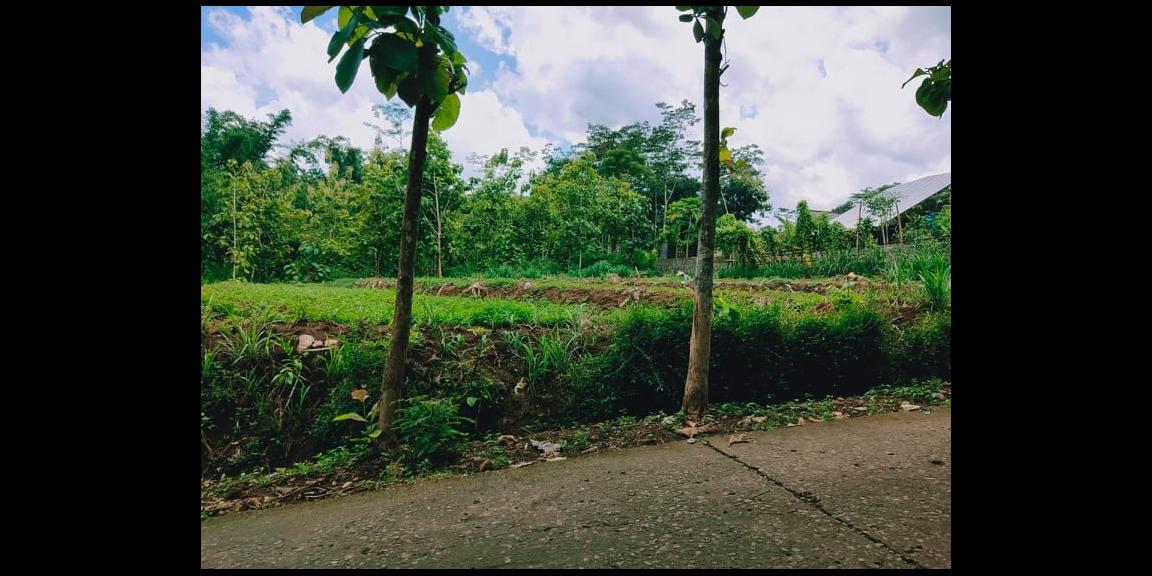 Tanah Datar Dibangun Rumah Tinggal Mojogedang Karanganyar Tanah Datar Dibangun Rumah Tinggal Mojogedang Karanganyar