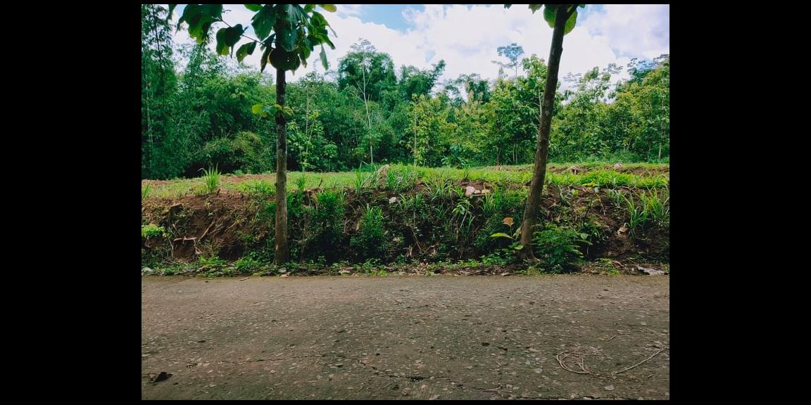 Tanah Datar Dibangun Rumah Tinggal Mojogedang Karanganyar Tanah Datar Dibangun Rumah Tinggal Mojogedang Karanganyar