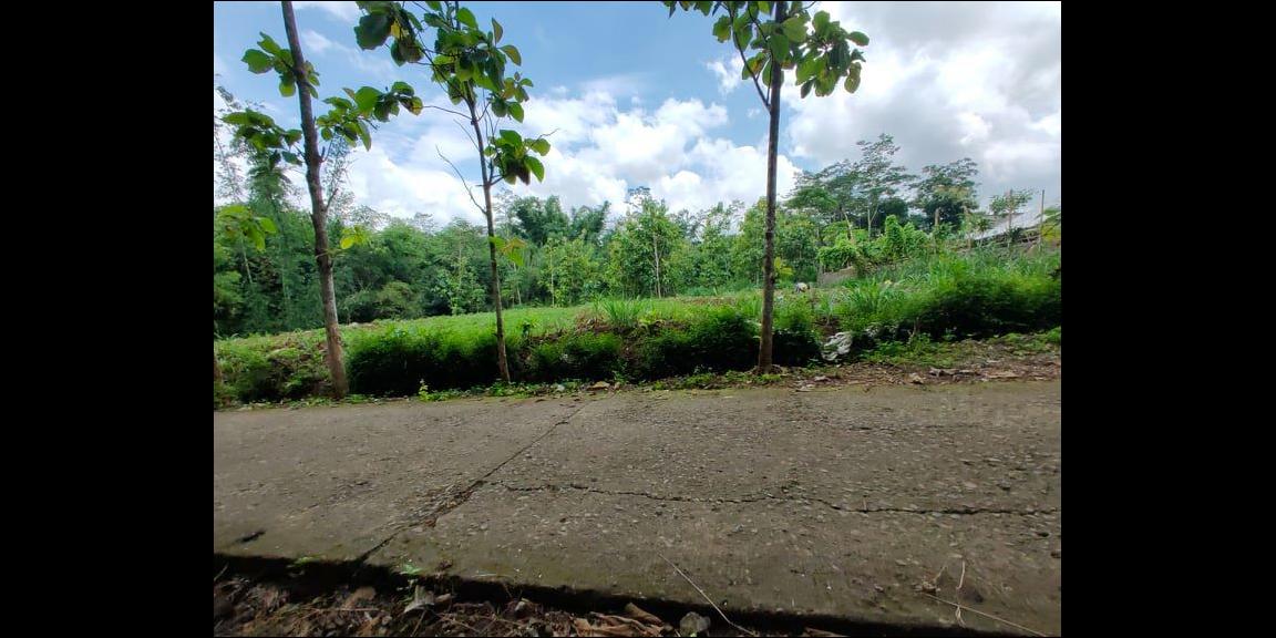 Tanah Datar Dibangun Rumah Tinggal Mojogedang Karanganyar Tanah Datar Dibangun Rumah Tinggal Mojogedang Karanganyar