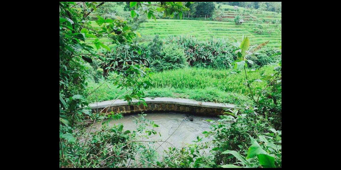 Tanah 1000m² Strategis Dibangun Vila Mojogedang Karanganyar Tanah 1000m² Strategis Dibangun Vila Mojogedang Karanganyar