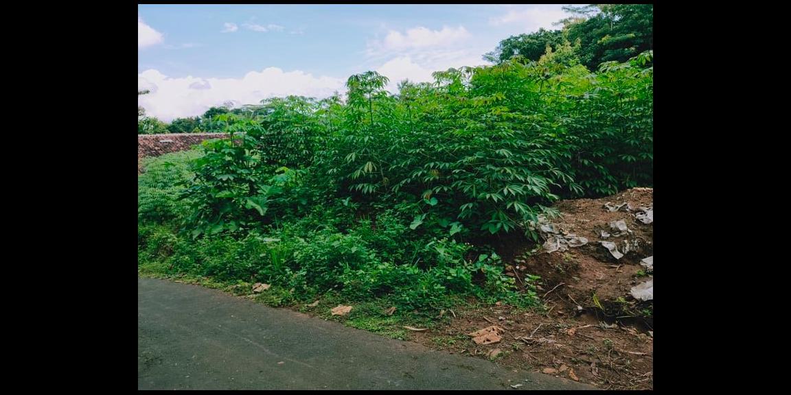 Tanah Strategis Dibangun Rumah Tinggal Kerjo Karanganyar Tanah Strategis Dibangun Rumah Tinggal Kerjo Karanganyar