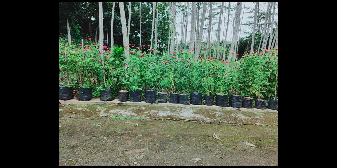 Tanah 1000m² Strategis Dibangun Vila Mojogedang Karanganyar Tanah 1000m² Strategis Dibangun Vila Mojogedang Karanganyar