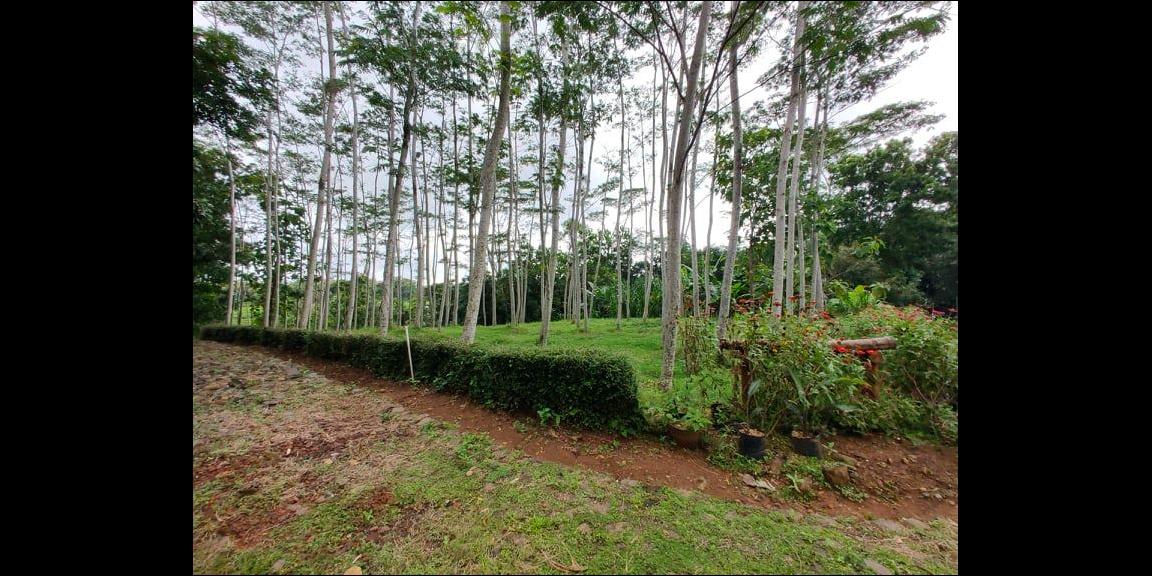 Tanah 1000m² Strategis Dibangun Vila Mojogedang Karanganyar Tanah 1000m² Strategis Dibangun Vila Mojogedang Karanganyar