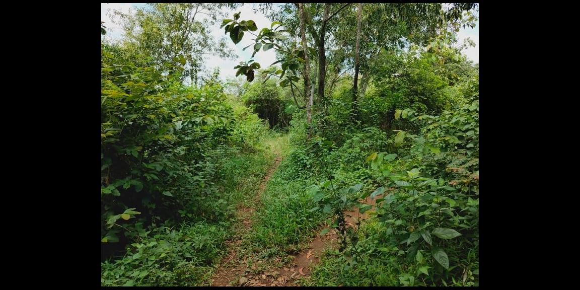 Tanah Strategis 3328m² Untuk Investasi Kebakkramat Karanganyar Tanah Strategis 3328m² Untuk Investasi Kebakkramat Karanganyar