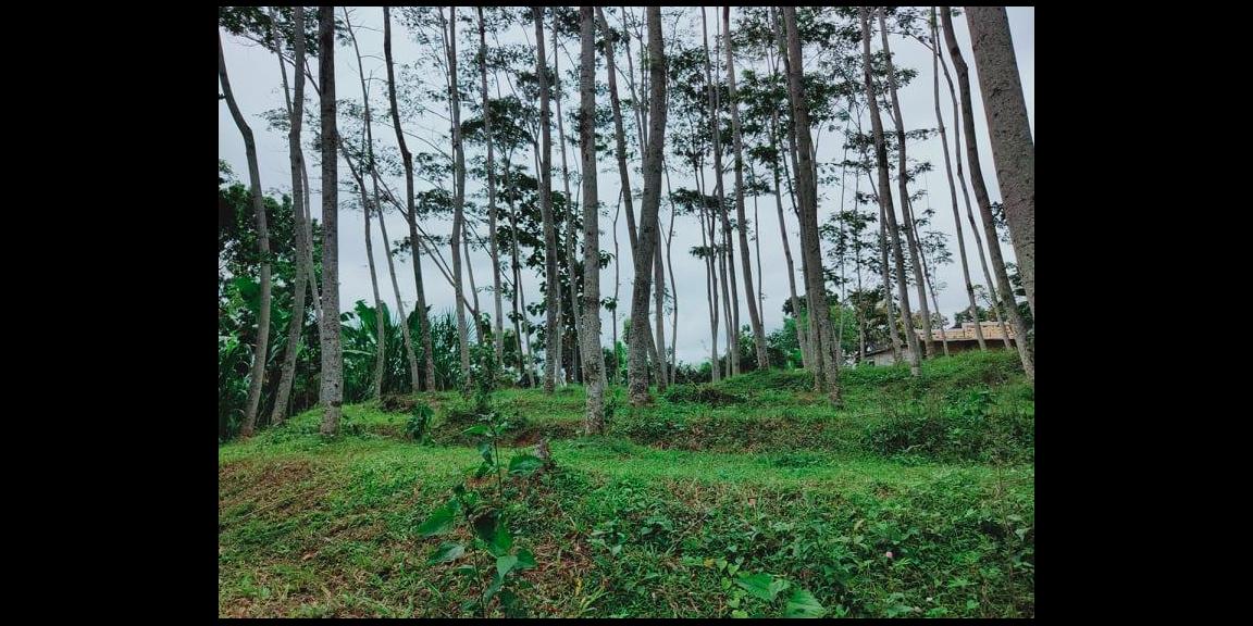 Tanah 1000m² Strategis Dibangun Vila Mojogedang Karanganyar Tanah 1000m² Strategis Dibangun Vila Mojogedang Karanganyar