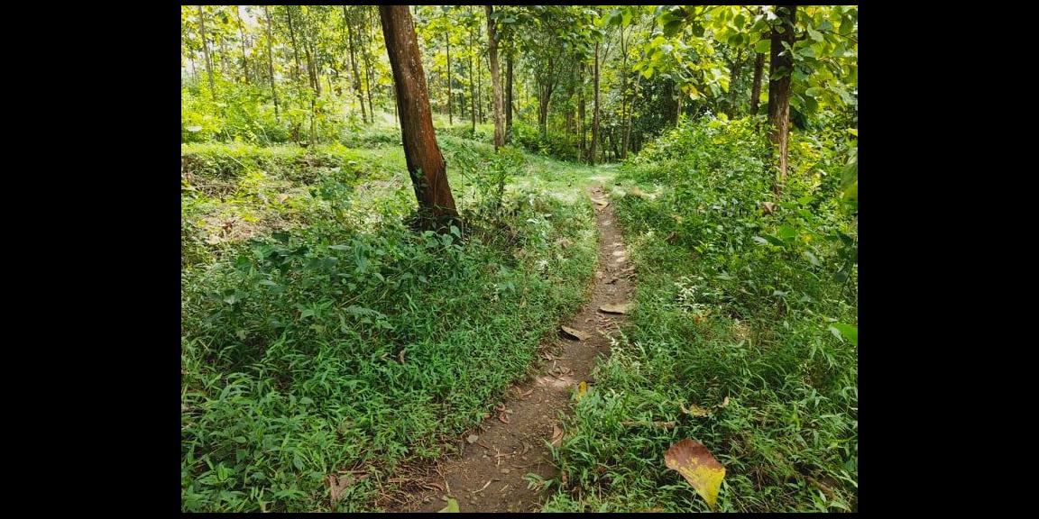 Tanah Strategis 3328m² Untuk Investasi Kebakkramat Karanganyar Tanah Strategis 3328m² Untuk Investasi Kebakkramat Karanganyar