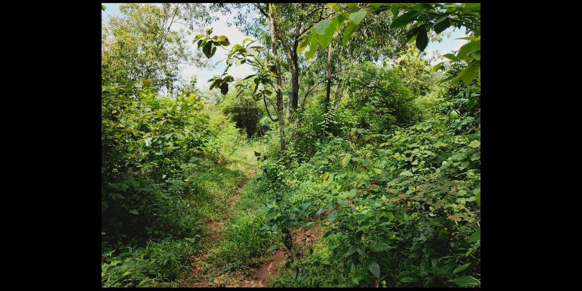 Tanah Strategis 3328m² Untuk Investasi Kebakkramat Karanganyar Tanah Strategis 3328m² Untuk Investasi Kebakkramat Karanganyar