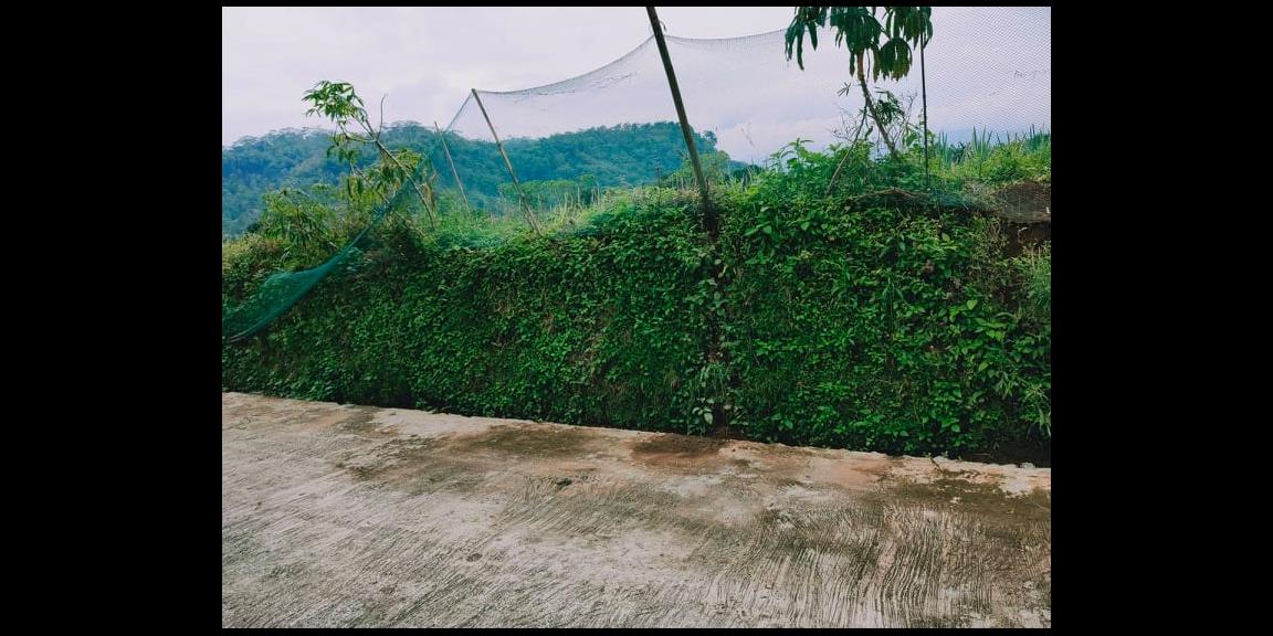 Tanah Strategis di Desa Wisata Kemuning Ngargoyoso Karanganyar Tanah Strategis di Desa Wisata Kemuning Ngargoyoso Karanganyar