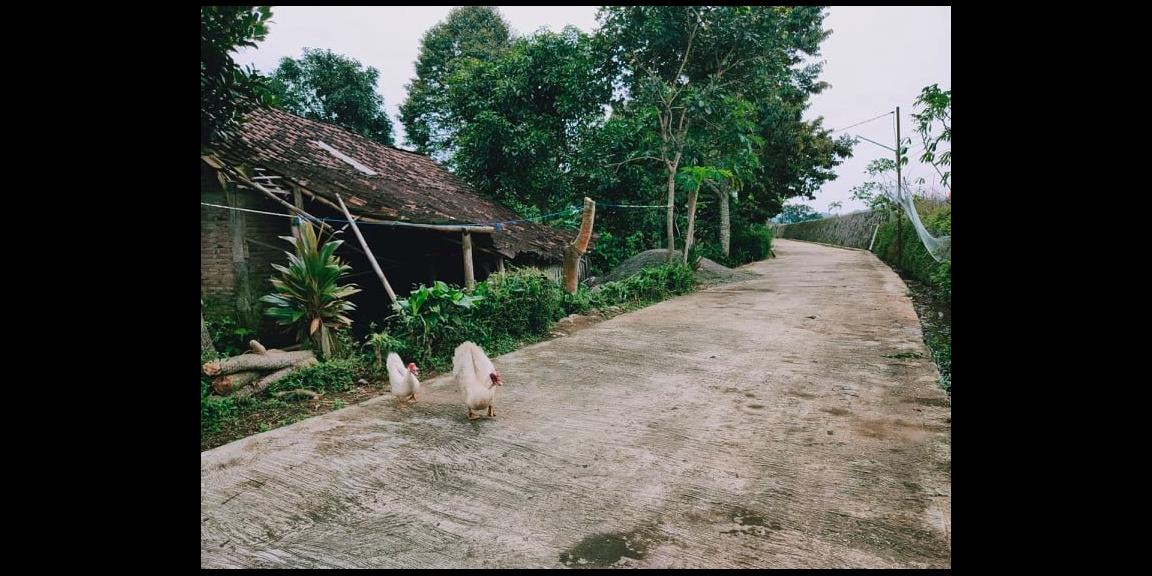 Tanah Strategis di Desa Wisata Kemuning Ngargoyoso Karanganyar Tanah Strategis di Desa Wisata Kemuning Ngargoyoso Karanganyar