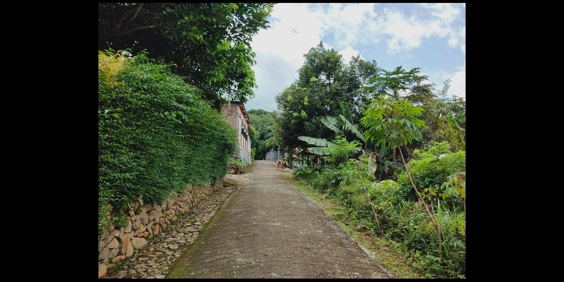 Dijual Tanah Kebun Durian Strategis Buka Usaha tepi Jl Raya Mojogedang Karanganyar Dijual Tanah Kebun Durian Strategis Buka Usaha tepi Jl Raya Mojogedang Karanganyar