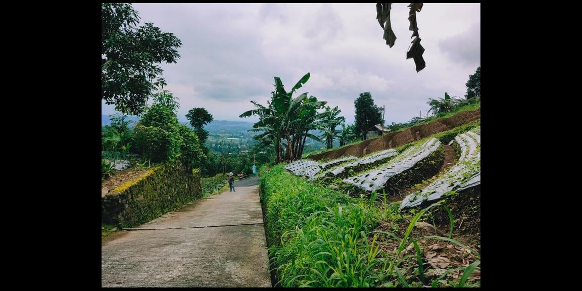 Tanah Strategis Dibangun Vila Kemuning Ngargoyoso Karanganyar Tanah Strategis Dibangun Vila Kemuning Ngargoyoso Karanganyar