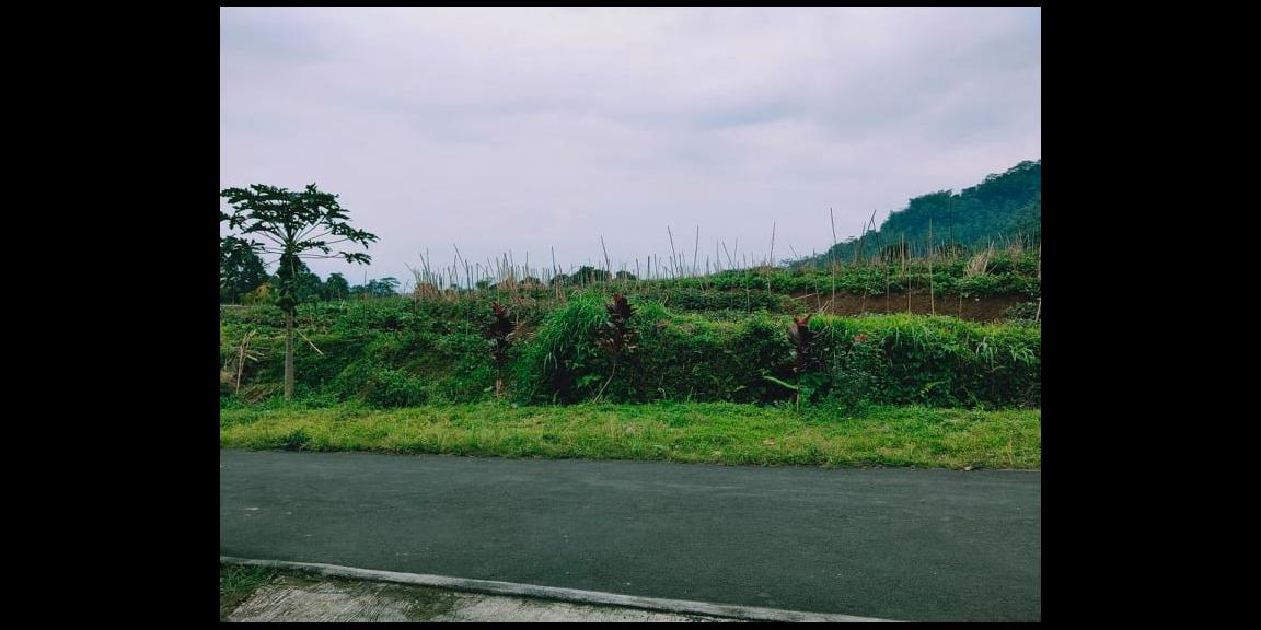 Tanah Siap Dibangun Kemuning Ngargoyoso Karanganyar Tanah Siap Dibangun Kemuning Ngargoyoso Karanganyar