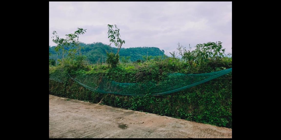 Tanah Siap Dibangun Kemuning Ngargoyoso Karanganyar Tanah Siap Dibangun Kemuning Ngargoyoso Karanganyar