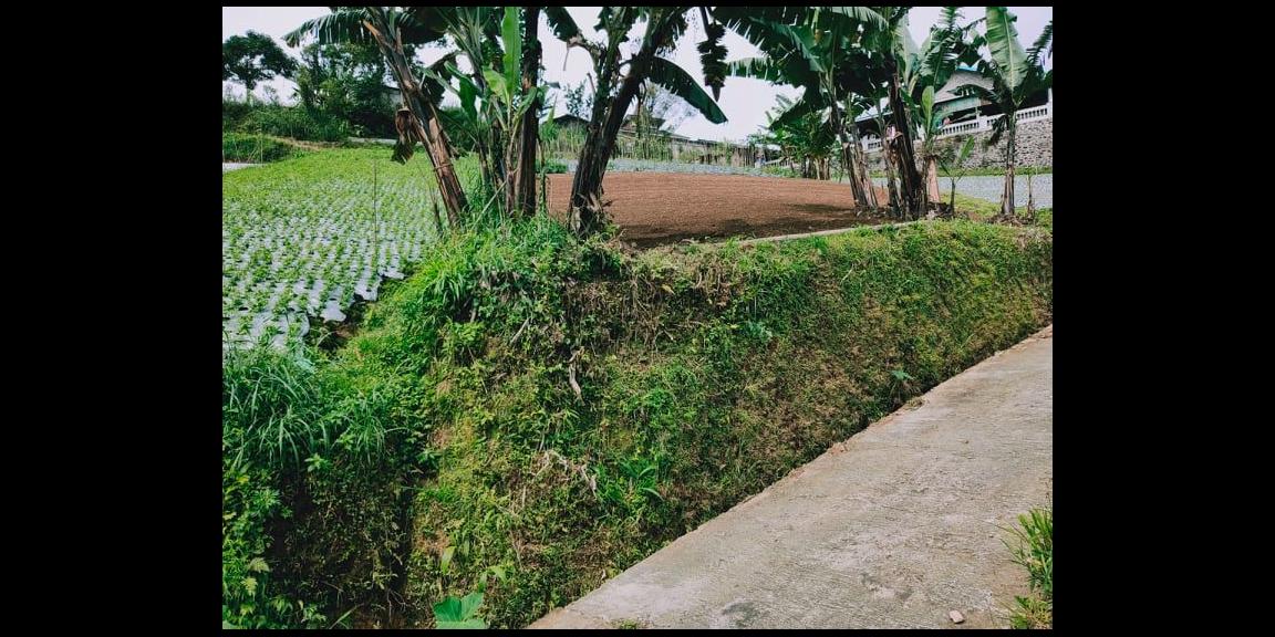 Tanah Strategis Dibangun Vila Kemuning Ngargoyoso Karanganyar Tanah Strategis Dibangun Vila Kemuning Ngargoyoso Karanganyar