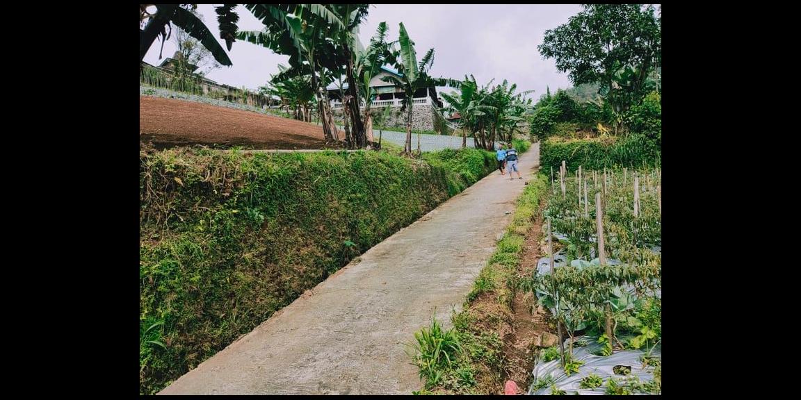 Tanah Strategis Dibangun Vila Kemuning Ngargoyoso Karanganyar Tanah Strategis Dibangun Vila Kemuning Ngargoyoso Karanganyar