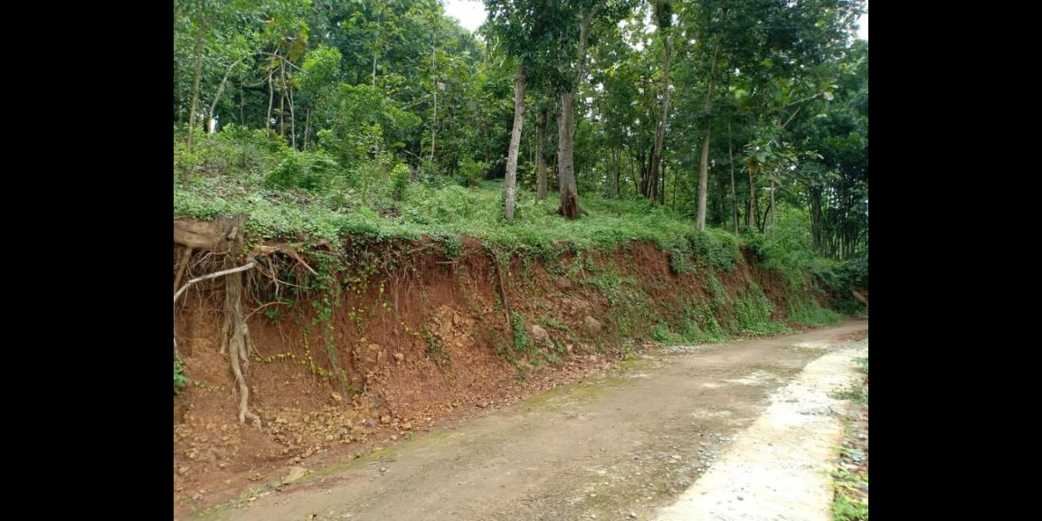Tanah Kebun Jati 4000m² Dekat Objek Wisata Mojogedang Karanganyar Tanah Kebun Jati 4000m² Dekat Objek Wisata Mojogedang Karanganyar