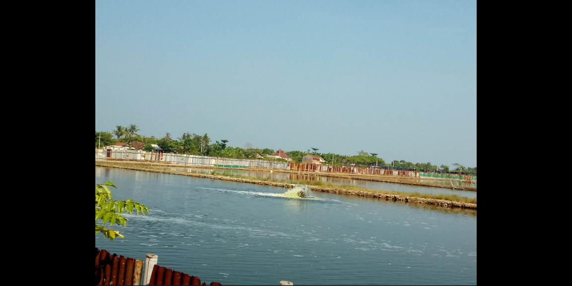 Jual tanah dan Tambak di Pantai blebak jepara Jual tanah dan Tambak di Pantai blebak jepara