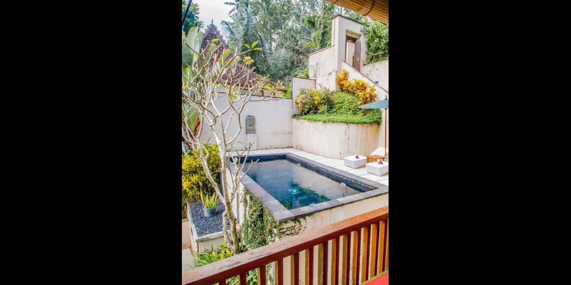 Dijual BU Hotel Bintang 4 di Ubud, Bali Dijual BU Hotel Bintang 4 di Ubud, Bali