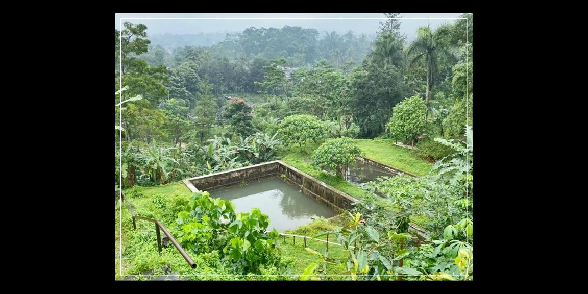 TEMPAT PENGINAPAN (VILLA & BUNGALOW) Udara Puncak Nan Sejuk TEMPAT PENGINAPAN (VILLA & BUNGALOW) Udara Puncak Nan Sejuk