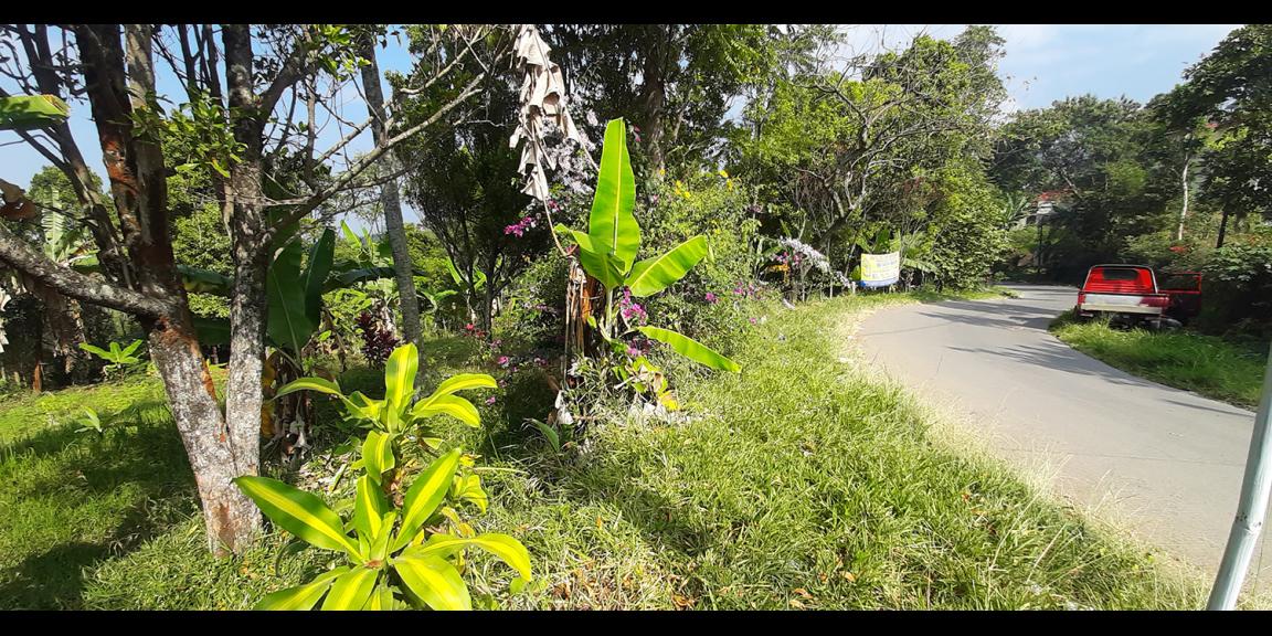 TANAH KOMERSIAL MAIN ROAD ARCAMANIK SINDANGLAYA BANDUNG TANAH KOMERSIAL MAIN ROAD ARCAMANIK SINDANGLAYA BANDUNG
