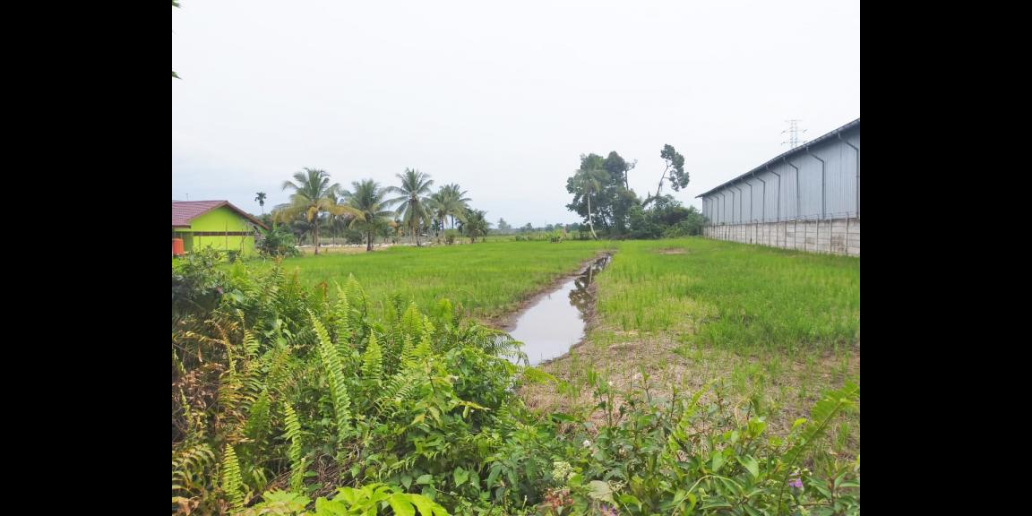 Tanah Khatulistiwa, Raya Wajok Hilir Km. 12, Pontianak, Kalimantan Barat Tanah Khatulistiwa, Raya Wajok Hilir Km. 12, Pontianak, Kalimantan Barat