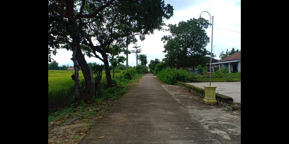 Rumah Siap Huni View Sawah Karangmalang Sragen Rumah Siap Huni View Sawah Karangmalang Sragen