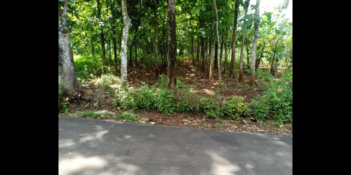 Tanah 1300m² View Sawah Kerjo Karanganyar Tanah 1300m² View Sawah Kerjo Karanganyar