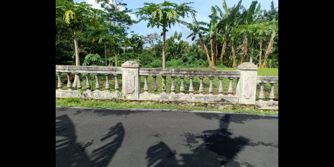 Tanah Datar 1400m² Kerjo Karanganyar Tanah Datar 1400m² Kerjo Karanganyar