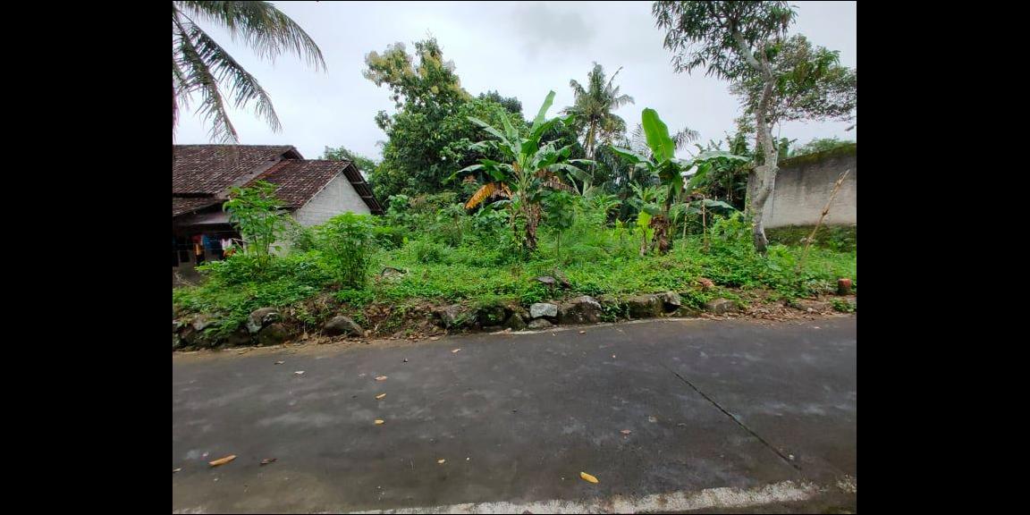 Tanah Datar Strategis Karangpandan Karanganyar Telp/WA: 082327612345 Tanah Datar Strategis Karangpandan Karanganyar Telp/WA: 082327612345