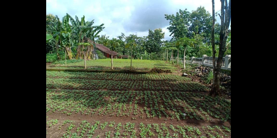 Tanah Datar 1400m² Kerjo Karanganyar Tanah Datar 1400m² Kerjo Karanganyar