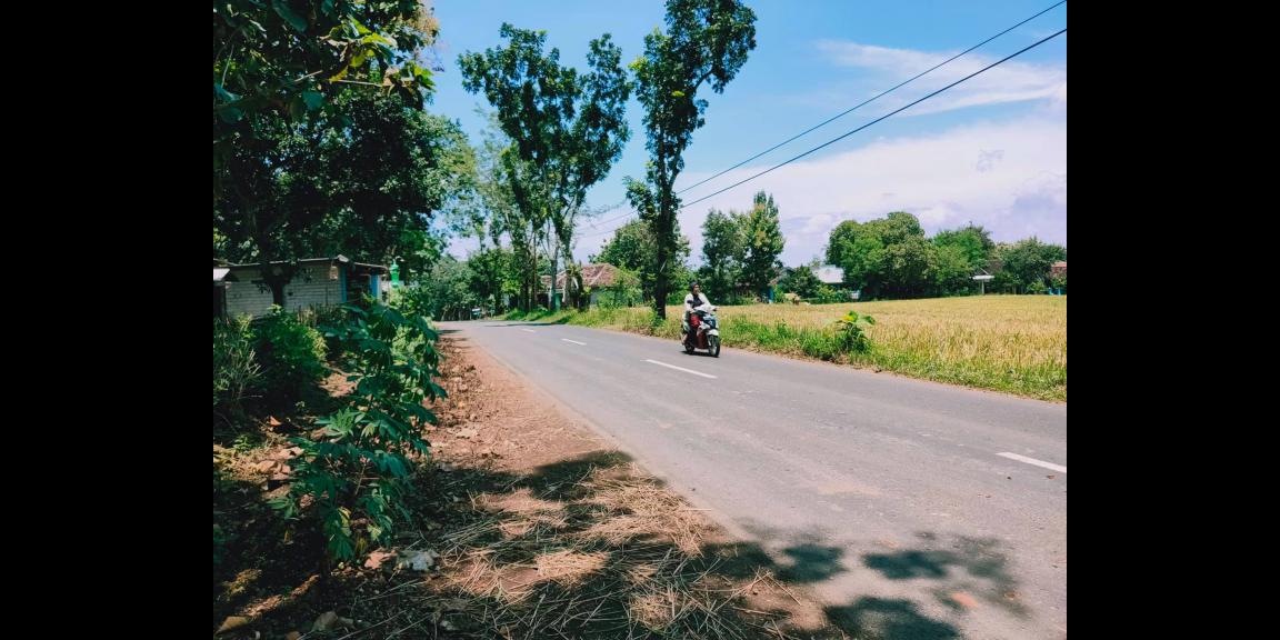 Tanah Idaman Strategis Buka Usaha Tepi Jl. Raya Kedawung-Sragen Tanah Idaman Strategis Buka Usaha Tepi Jl. Raya Kedawung-Sragen