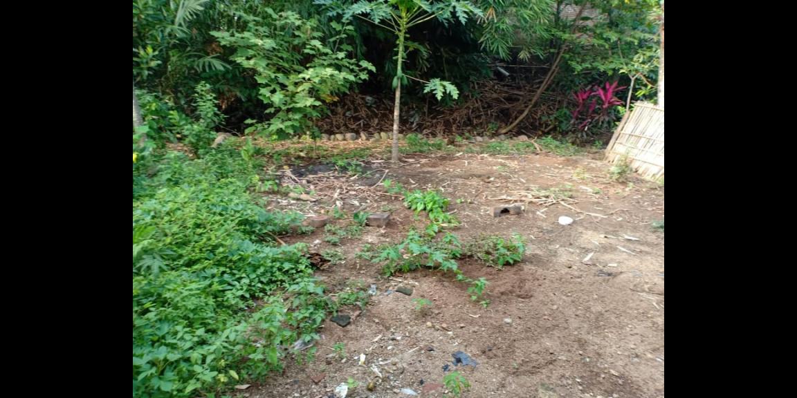 Rumah Siap Huni Karangmalang Sragen Rumah Siap Huni Karangmalang Sragen