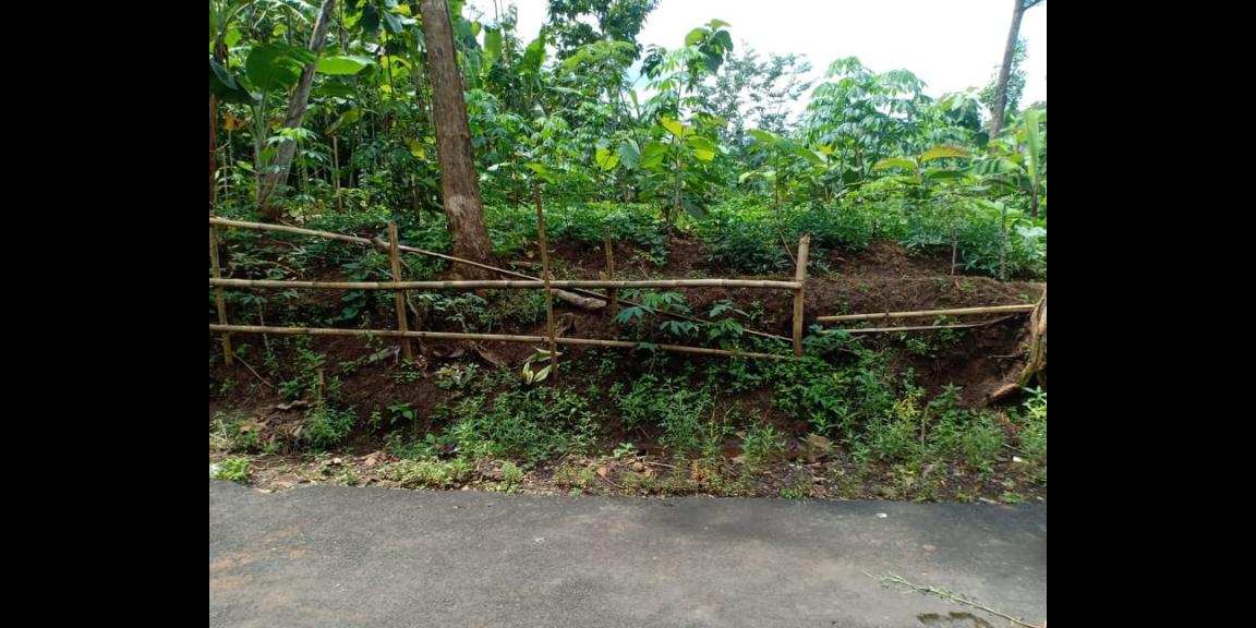 Tanah 1300m² View Sawah Kerjo Karanganyar Tanah 1300m² View Sawah Kerjo Karanganyar