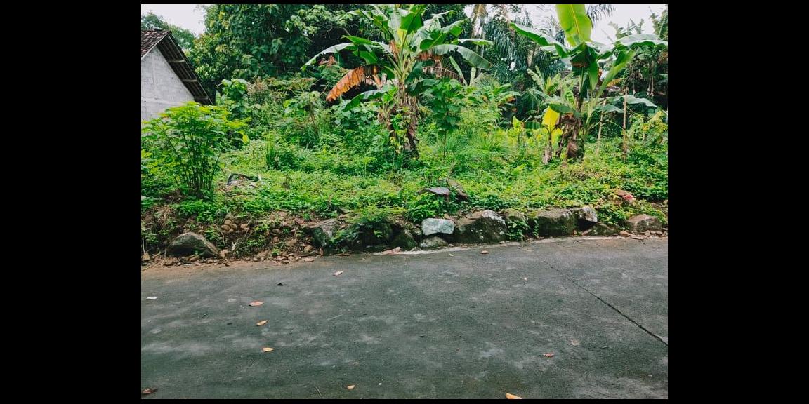 Tanah Datar Strategis Karangpandan Karanganyar Telp/WA: 082327612345 Tanah Datar Strategis Karangpandan Karanganyar Telp/WA: 082327612345