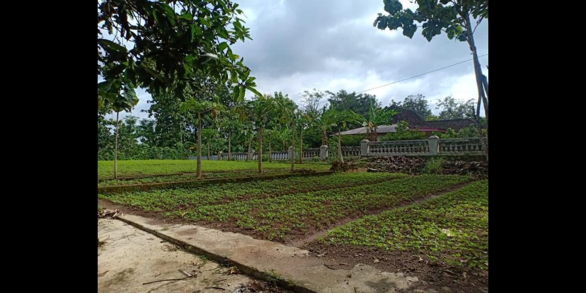 Tanah Datar 1400m² Kerjo Karanganyar Tanah Datar 1400m² Kerjo Karanganyar