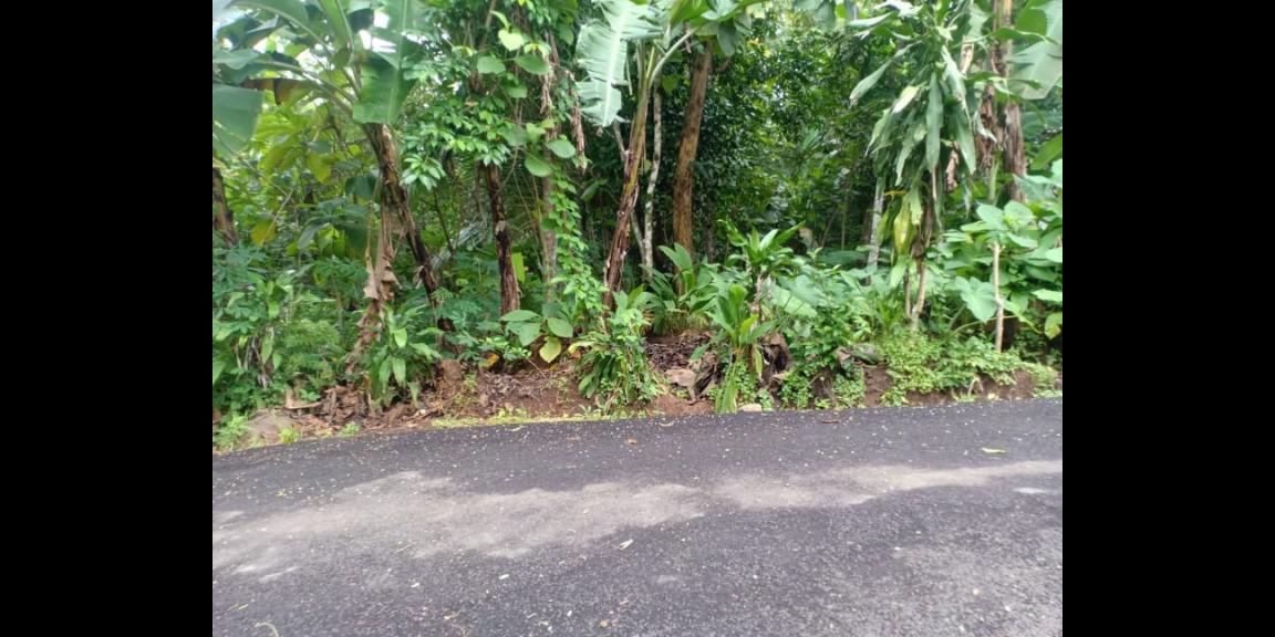 Tanah Datar Siap Dibangun Kerjo Karanganyar CP Telp/WA: 082327612345 Tanah Datar Siap Dibangun Kerjo Karanganyar CP Telp/WA: 082327612345