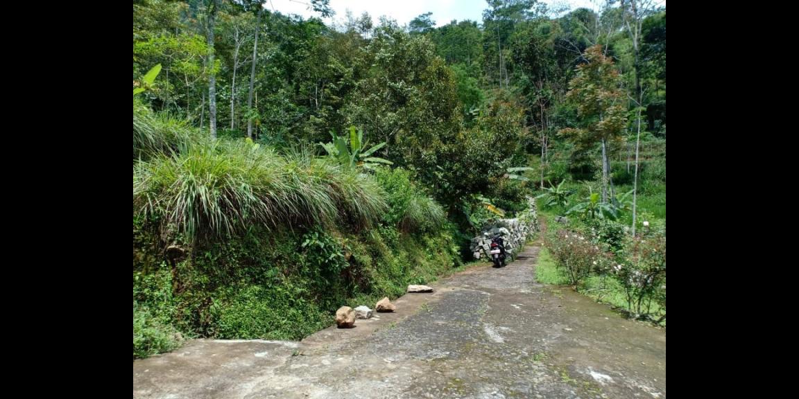 Tanah Idaman View Pemandangan Alam Kemuning Ngargoyoso Karanganyar Telp / WhatsApp 082327612345 Tanah Idaman View Pemandangan Alam Kemuning Ngargoyoso Karanganyar Telp / WhatsApp 082327612345