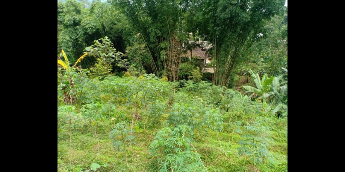 Tanah Dekat Aliran Sungai Bersih Kemuning Ngargoyoso Karanganyar Telp / WA:082327612345 Tanah Dekat Aliran Sungai Bersih Kemuning Ngargoyoso Karanganyar Telp / WA:082327612345