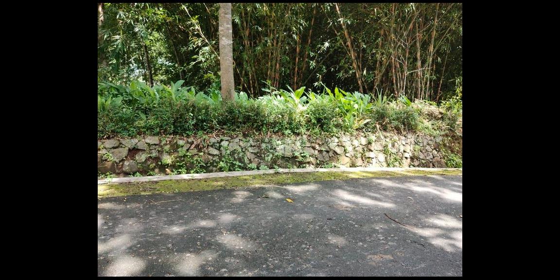 Tanah Super Datar di Desa Wisata Mojogedang Karanganyar Info Detail Telp/WA: 082327612345 Tanah Super Datar di Desa Wisata Mojogedang Karanganyar Info Detail Telp/WA: 082327612345