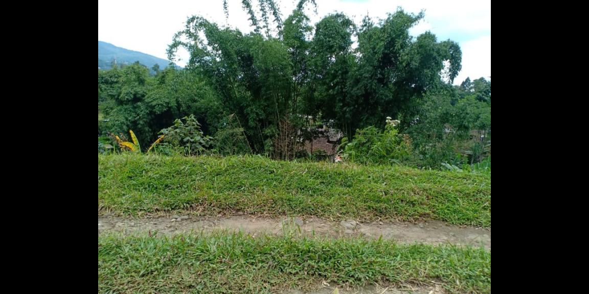 Tanah Dekat Aliran Sungai Bersih Kemuning Ngargoyoso Karanganyar Telp / WA:082327612345 Tanah Dekat Aliran Sungai Bersih Kemuning Ngargoyoso Karanganyar Telp / WA:082327612345