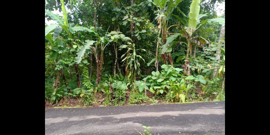 Tanah Datar Siap Dibangun Kerjo Karanganyar CP Telp/WA: 082327612345 Tanah Datar Siap Dibangun Kerjo Karanganyar CP Telp/WA: 082327612345