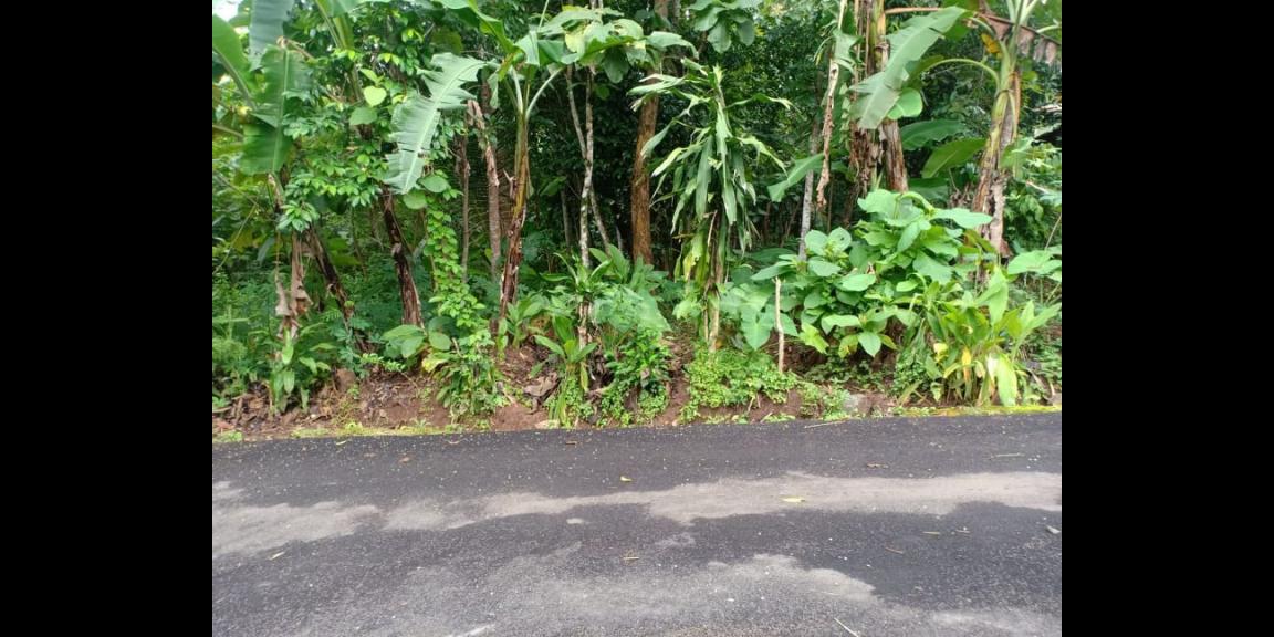 Tanah Datar Siap Dibangun Kerjo Karanganyar CP Telp/WA: 082327612345 Tanah Datar Siap Dibangun Kerjo Karanganyar CP Telp/WA: 082327612345