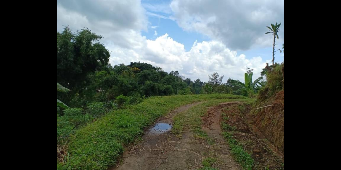 Tanah Dekat Aliran Sungai Bersih Kemuning Ngargoyoso Karanganyar Telp / WA:082327612345 Tanah Dekat Aliran Sungai Bersih Kemuning Ngargoyoso Karanganyar Telp / WA:082327612345