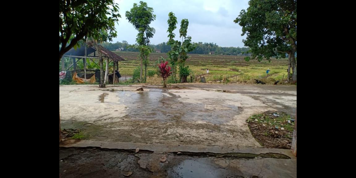 Tanah Bonus Rumah Sederhana Kedawung Sragen Telp/WA: 082327612345 Tanah Bonus Rumah Sederhana Kedawung Sragen Telp/WA: 082327612345