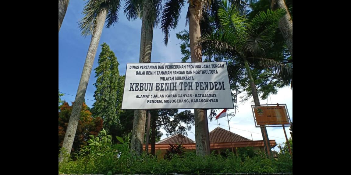 Tanah Strategis Buka Usaha Tepi Jl. Raya Kerjo Karanganyar Tanah Strategis Buka Usaha Tepi Jl. Raya Kerjo Karanganyar