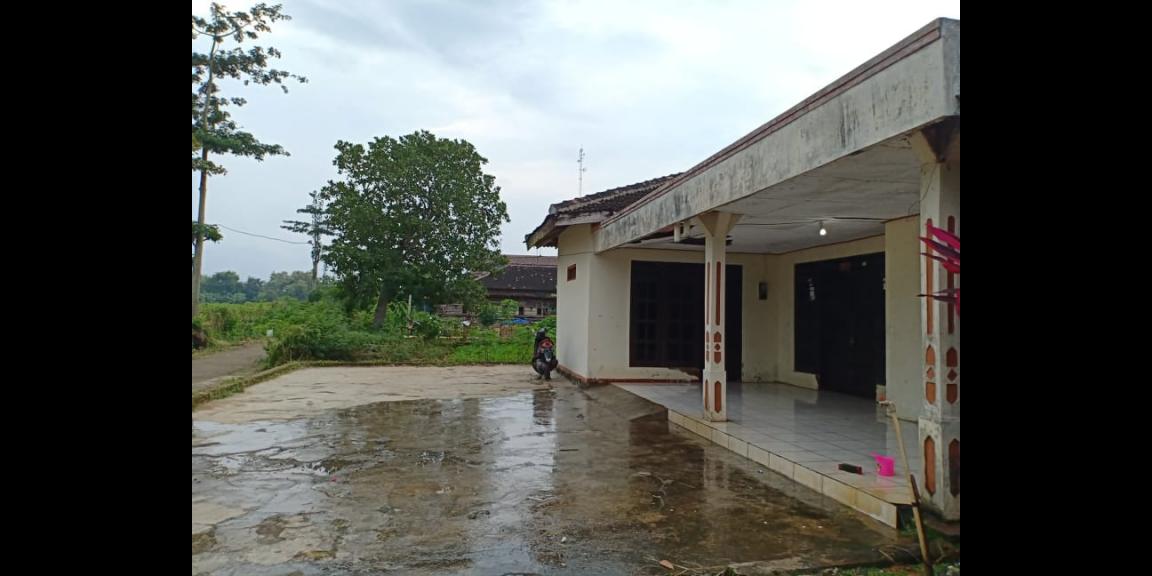 Rumah Siap Huni View Pesawahan Kedawung Sragen Telp/WA: 082327612345 Rumah Siap Huni View Pesawahan Kedawung Sragen Telp/WA: 082327612345