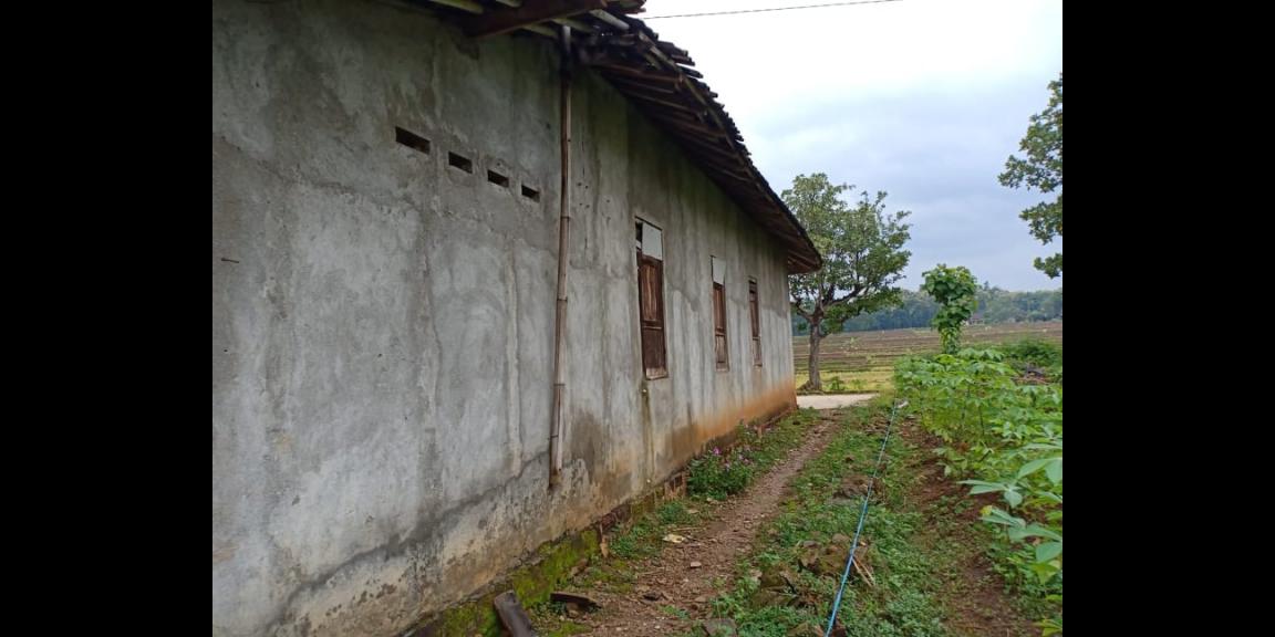 Tanah Bonus Rumah Sederhana Kedawung Sragen Telp/WA: 082327612345 Tanah Bonus Rumah Sederhana Kedawung Sragen Telp/WA: 082327612345