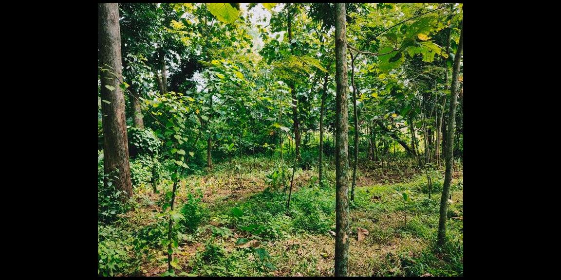 Tanah Strategis Dataran Tinggi Komplek Pasar Kerjo Karanganyar Telp/WA:082327612345 Tanah Strategis Dataran Tinggi Komplek Pasar Kerjo Karanganyar Telp/WA:082327612345