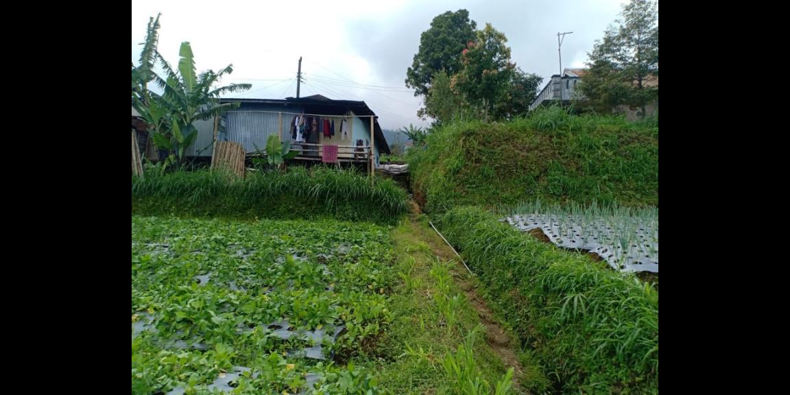 Tanah Idaman View Pemandangan Alam Kemuning Ngargoyoso Karanganyar Telp/WA: 082327612345 Tanah Idaman View Pemandangan Alam Kemuning Ngargoyoso Karanganyar Telp/WA: 082327612345